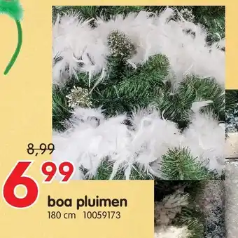 Yess boa pluimen aanbieding