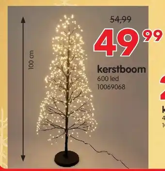 Kerstboom