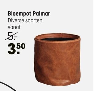 Kwantum Bloempot Palmar aanbieding
