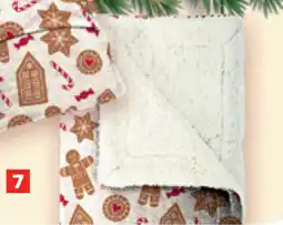 Carrefour Flanellen Plaid met Sherpa Voering aanbieding