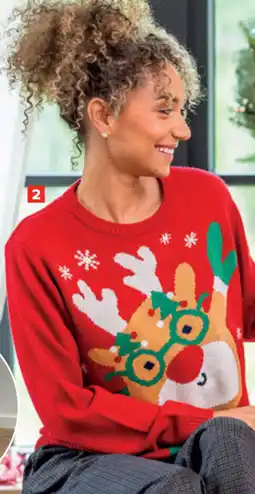Carrefour Kersttrui voor Dames aanbieding