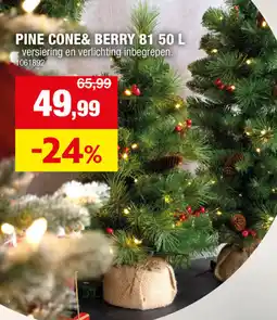Hubo Pine cone&berry 81 50L aanbieding