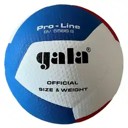 Decathlon Volleybal Pro-line 5586S aanbieding