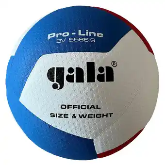 Decathlon Volleybal Pro-line 5586S aanbieding