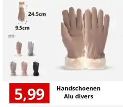 NH Market Handschoenen Alu divers aanbieding