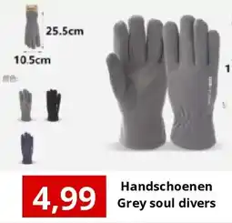 NH Market Handschoenen Grey soul divers aanbieding