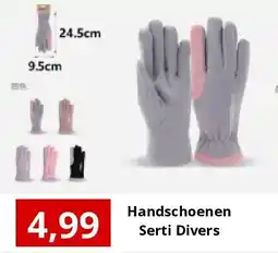 NH Market Handschoenen Serti Divers aanbieding