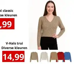 NH Market V-Hals trui Diverse kleuren aanbieding