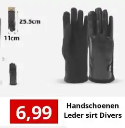 NH Market Handschoenen Leder sirt Divers aanbieding