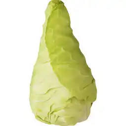 Albert Heijn AH Spitskool aanbieding