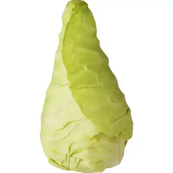 Albert Heijn AH Spitskool aanbieding