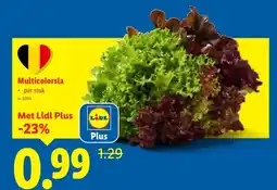 Lidl Multicolorsla aanbieding