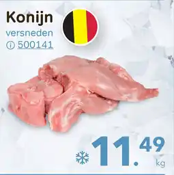 Bon Ap Konijn aanbieding