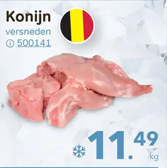 Konijn