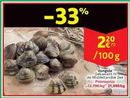 Cora Vongole aanbieding