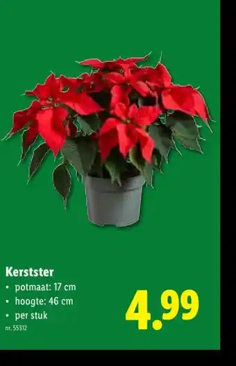 Lidl Kerstster aanbieding