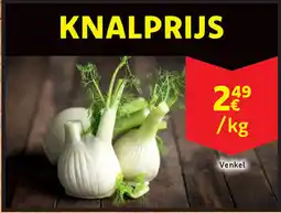 Cora Venkel aanbieding