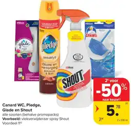 Carrefour Market Canard WC, Pledge, Glans en shout aanbieding