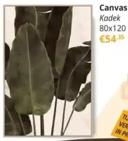 YGO Canvas Kadek aanbieding