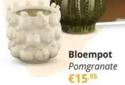 YGO Bloempot Pomgranate aanbieding