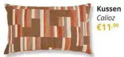 YGO Kussen Calioz aanbieding