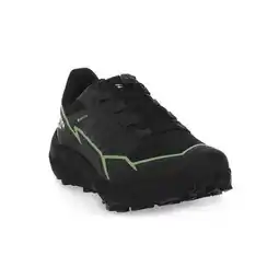 Decathlon Trekkingschoenen voor heren Salomon Thundercross Gtx aanbieding