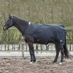 Decathlon Waterdichte stapeldeken Harry's Horse aanbieding