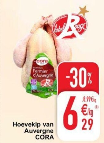 Hoevekip van Auvergne