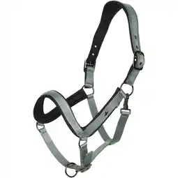 Decathlon Halster voor paarden HV Polo Essential aanbieding