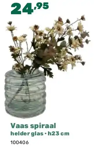 Happyland Vaas spiraal helder glas • h23 cm aanbieding