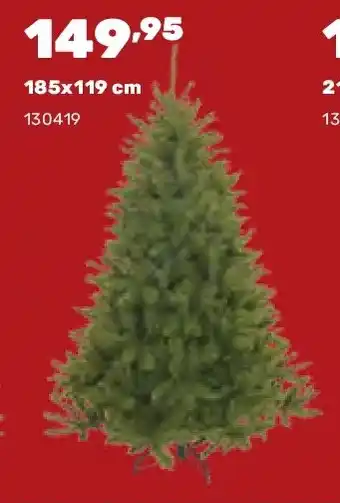 Kerstboom Bristlecone 185x119 cm