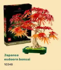 Happyland Japanse esdoorn bonsai aanbieding