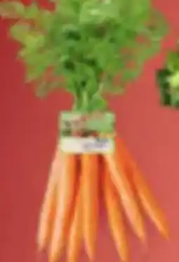 Spar Wortelen met loof bussel aanbieding