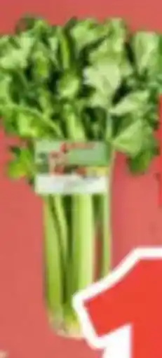 Spar Groene selder aanbieding