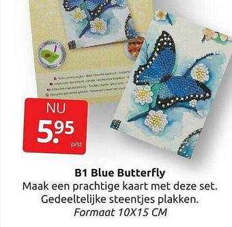 B1 Blue Butterfly