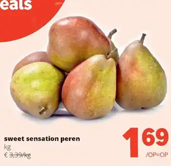 Sweet sensation peren