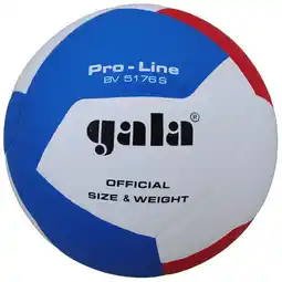Decathlon Volleybal Pro-line 5176S aanbieding