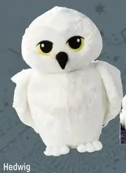 Freetime Hedwig aanbieding