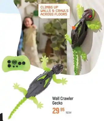 Freetime Wall Crawler Gecko aanbieding