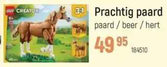 Freetime Prachtig Paard aanbieding