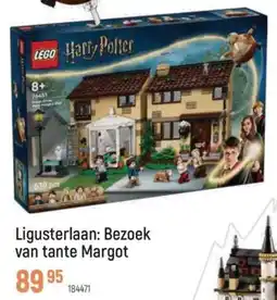 Freetime Ligusterlaan: Bezoek van tante Margot aanbieding