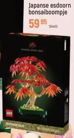 Freetime Japanse Esdoorn Bonsaiboompje aanbieding