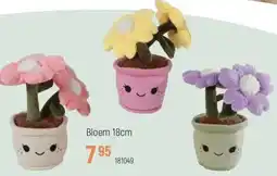 Freetime Bloem aanbieding