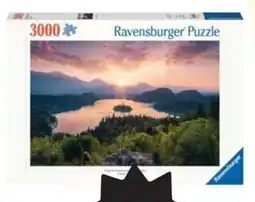 Freetime Puzzel 3000st aanbieding