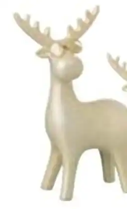 Multi bazar Rendier met bril aanbieding