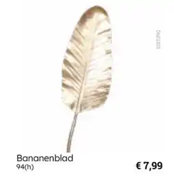 Multi bazar Bananenblad aanbieding