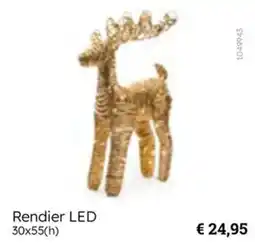 Multi bazar Rendier LED aanbieding