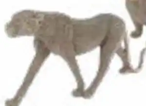 Multi bazar Sculptuur Panter aanbieding