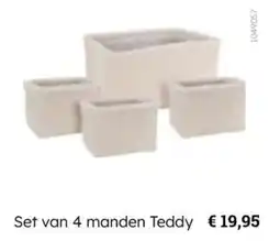 Multi bazar Set van 4 manden Teddy aanbieding
