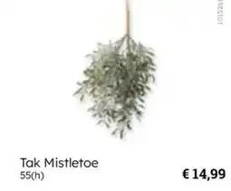 Multi bazar Tak Mistletoe aanbieding